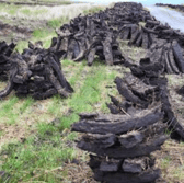 Stacks of footed turf stock image