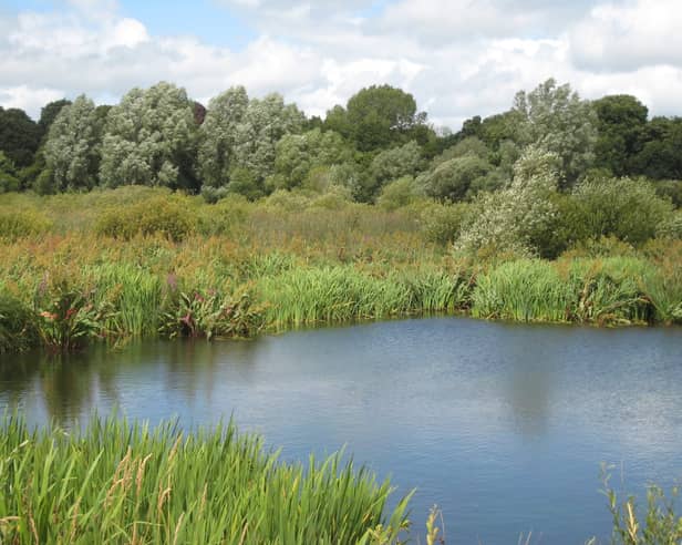 Newpark Fen