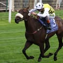 Arapaho Gold winning the Gimcrack Stakes at York
