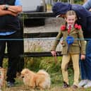 Dog showing was just one of the attractions at Bansha Show