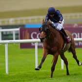 Wayne Lordan and Queenstown win the St Leger Trial Stakes at the Curragh