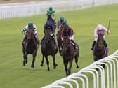 Maltese Cross (second right) winning the Great Voltigeur Stakes at York