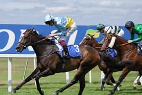 Rumstar winning at Sandown
