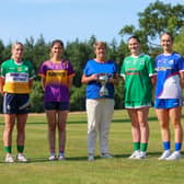 The 6 clubs competing for Laois LGFA Intermediate glory