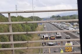 The M50 scene 
