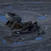 A lorry submerged in mud