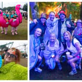 Electric Picnic fun in Stradbally on Saturday.