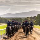 Morning in Ballydoyle under the eye of Slievenamon