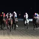Constitution Hill in winning action at Kempton