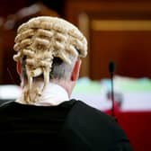 The back of the head of an advocate who is wearing a wig