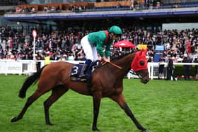 Daryz at Royal Ascot