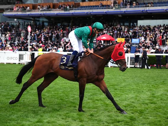 Daryz at Royal Ascot