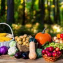 Fresh autumnal fruit and vegetables laud out on a wooden table outside