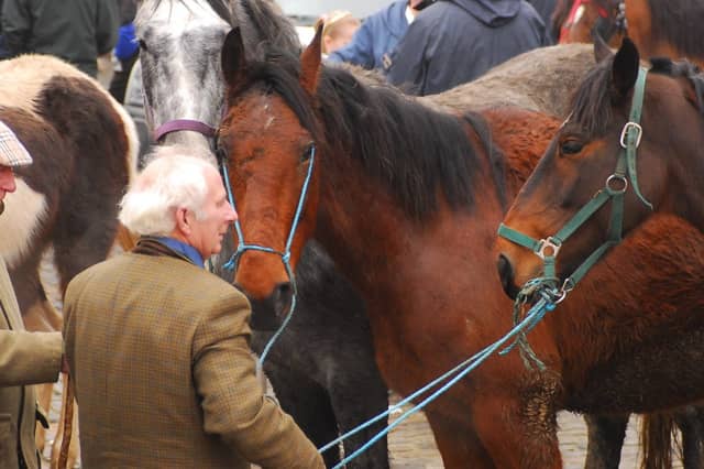 The local horse fair and heritage day will take place this month