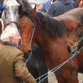 The local horse fair and heritage day will take place this month