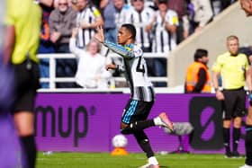 Jacob Ramsey celebrates Newcastle's equaliser