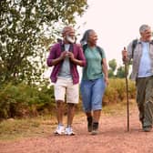 Group of active senior friends enjoying hiking through countryside