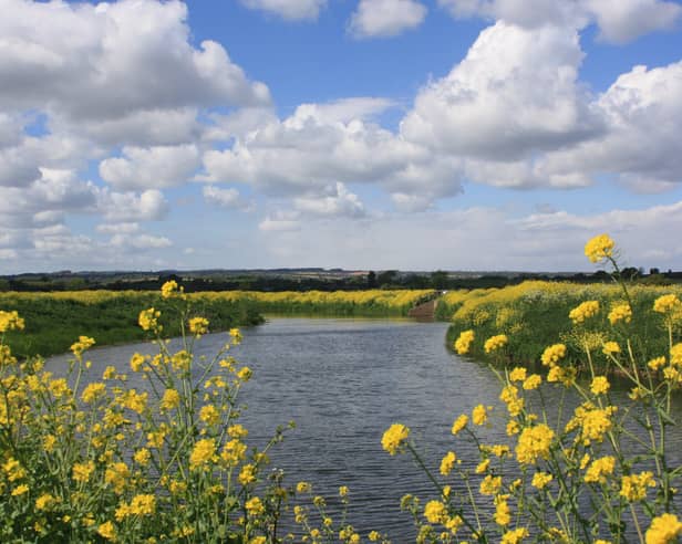Body of water in Kildare due for inspection