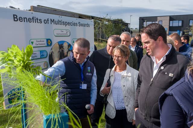 UCD’s Tommy Boland explaining benefits of grass grazing and multispecies swards
to EU delegation and Minister for Agriculture, Food and the Marine Martin Heydon, during
the group’s visit to UCD’s Lyons Farm in Kildare.
