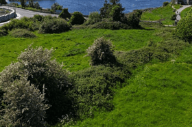 The land for sale beside Dunguaire Castle, Kinvara