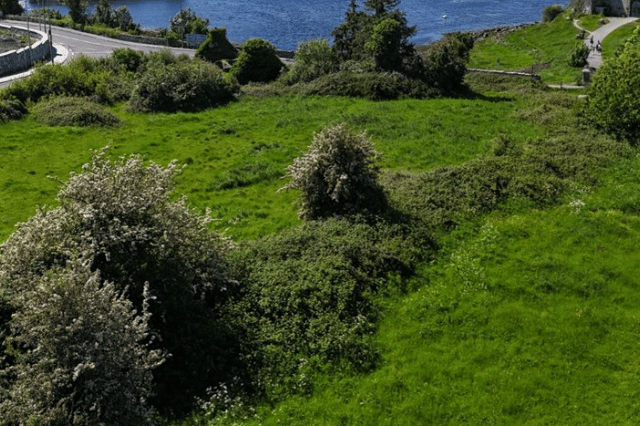 The land for sale beside Dunguaire Castle, Kinvara