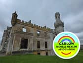 Circle of Connection to take place at Duckett's Grove