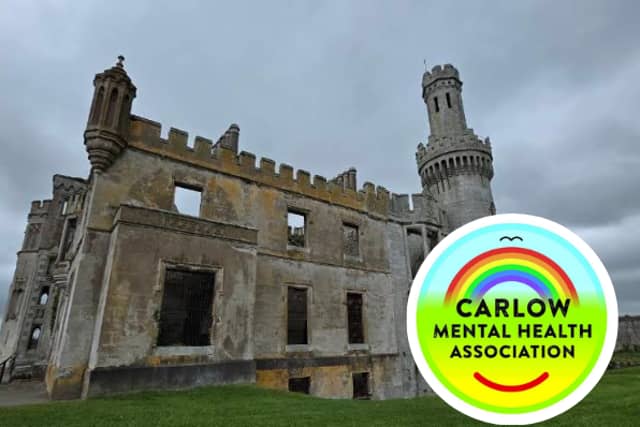 Circle of Connection to take place at Duckett's Grove