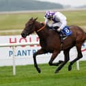 Sea Of Rain is an interesting Irish raider