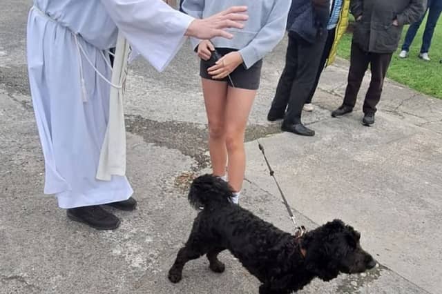 Fr Pat blessing pets last year