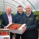 Francie Gorman (President IFA), Minister Peter Burke,  Niall McCormack, Picture: Shelley Corcoran