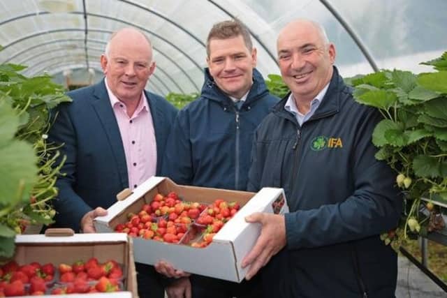 Francie Gorman (President IFA), Minister Peter Burke, Niall McCormack, Picture: Shelley Corcoran