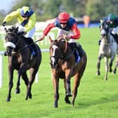 The John Cullen trained Phoenix Arizona secured victory at the final race meeting of the year at Ballinrobe Races. Pic: Healy Racing.