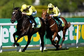 Saddadd is giving Roger Varian Parisian dreams