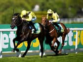 Saddadd is giving Roger Varian Parisian dreams