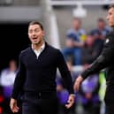 Newcastle United v Hull City – Premier League – St James’ Park