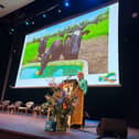 Hazel Peavoy speaking at Synergy Days 2025