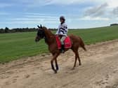 Shes Perfect will sell in December