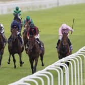 Maltese Cross is in rude health ahead of the Arc