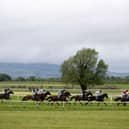 Nine fixtures are scheduled to take place to the end of 2027 at the redeveloped all-weather track in Tipperary