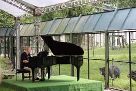 Rick Wakeman performing to bears at Tam Dao National Park