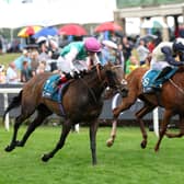 Kalapana wins the Yorkshire Oaks at York from Sparan Nua