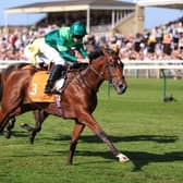 Afternoon Racing – Newmarket Racecourse – Saturday September 26th