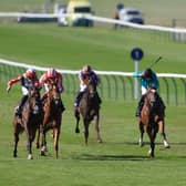 Libertango (left) challenging at Newmarket