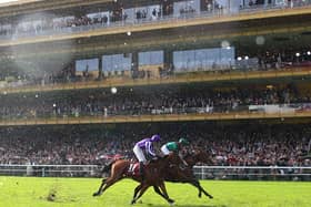 Daryz winning the Qatar Prix de l’Arc de Triomphe