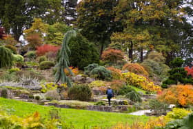 RHS Garden Wisley in autumn (Lee Charlton/RHS/PA)