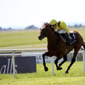 Almaqam is being primed for British Champions Day