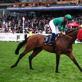 Daryz ridden by Mickael Barzalona
