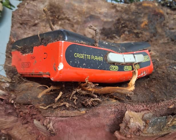 The Walkman that was found inside the tree
