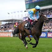 Rumstar in action at Newmarket