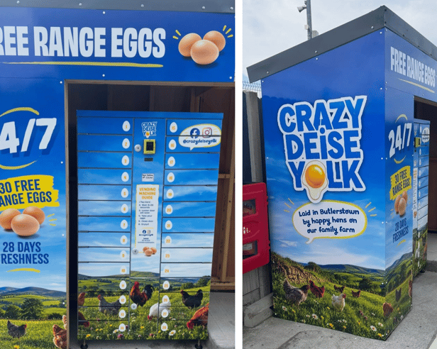 The machine which is located at the Holy Cross Service Station on the Cork Road